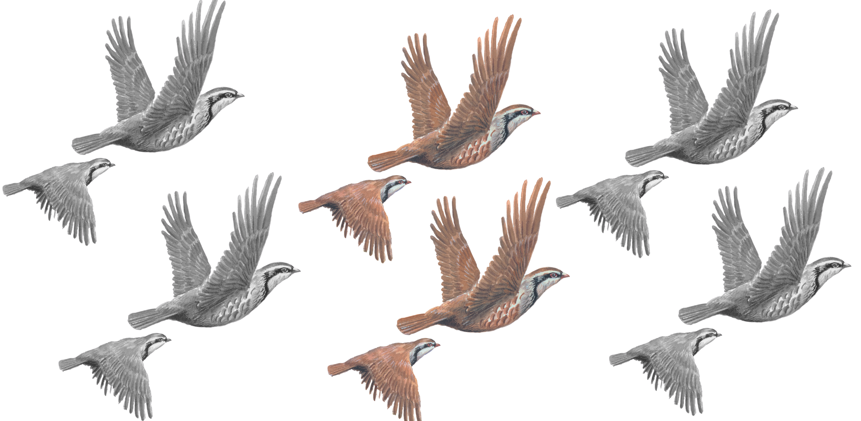 Nearly A Million John Partridge is Back John Partridge & Co