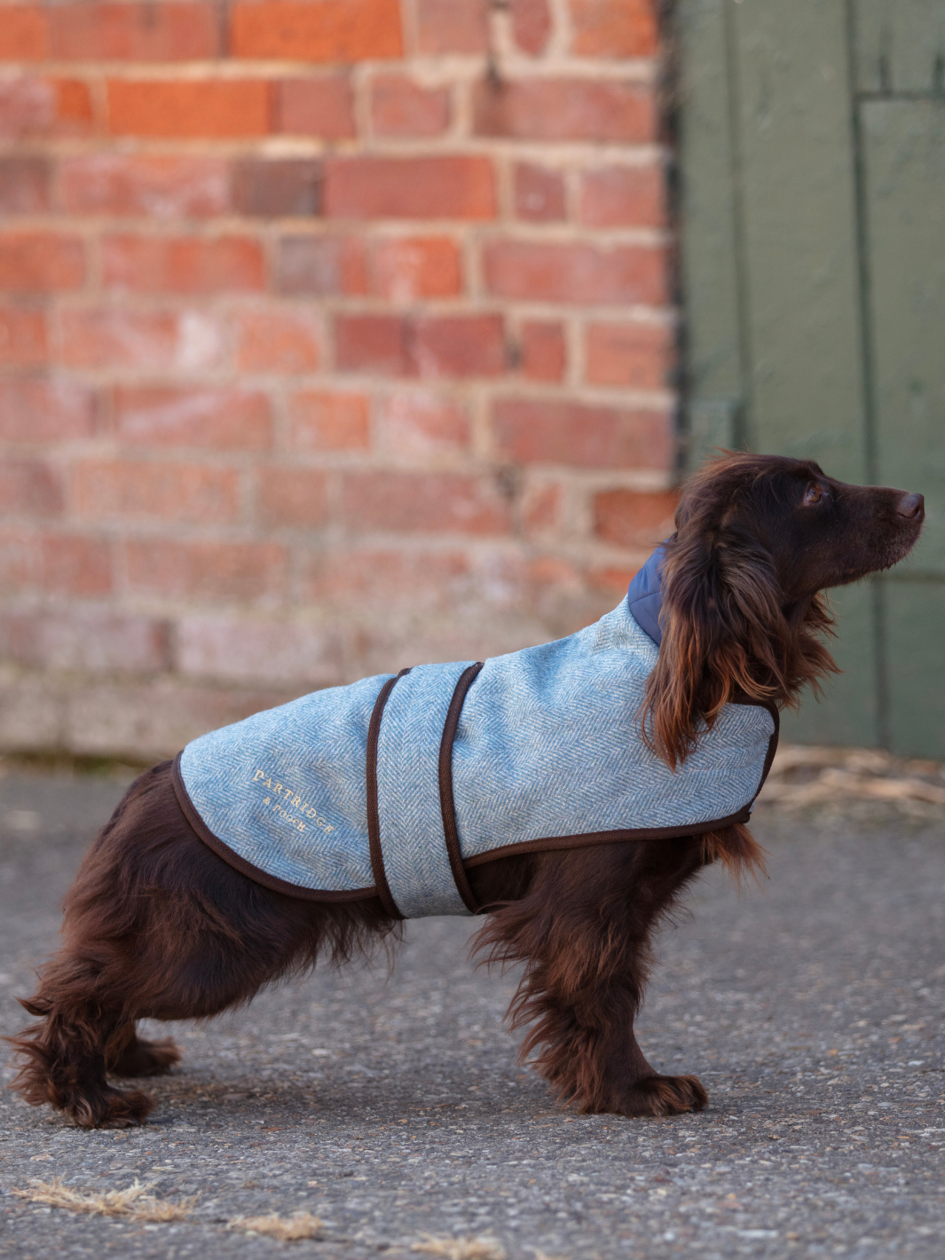 Blue Herringbone Tweed Dog Coat | Made in England dog coat with secure Velcro fastening and a comfortable adjustable fit