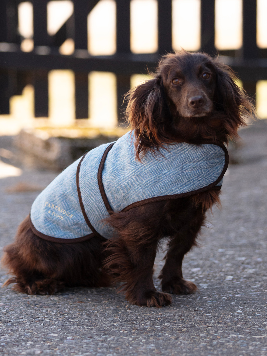 Blue Herringbone Tweed Dog Coat | Smart blue tweed dog jacket with adjustable waist belt, black binding and embroidered logo