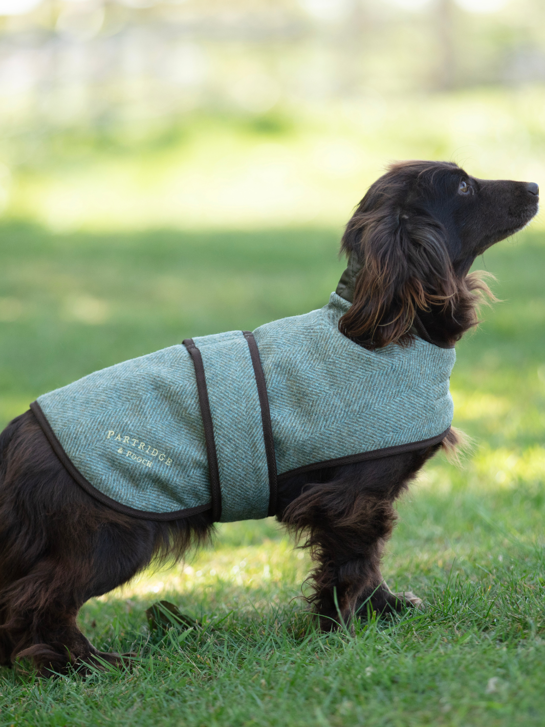 Green Herringbone Tweed Dog Coat | Refined green patterned dog jacket with black edge binding and tonal Partridge & Pooch embroidery