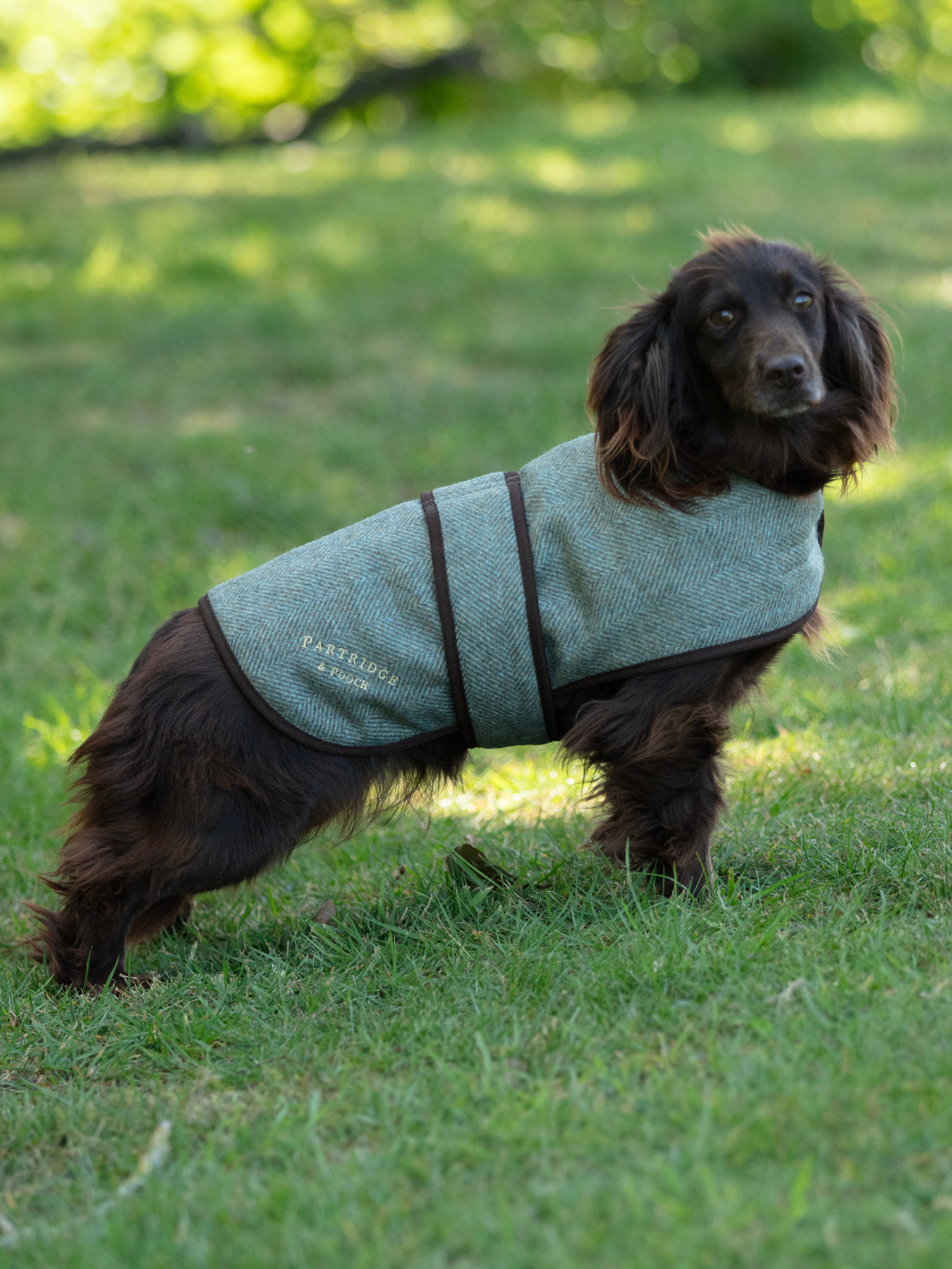 Green Herringbone Tweed Dog Coat | Made in England dog coat with secure Velcro fastening and a comfortable adjustable fit
