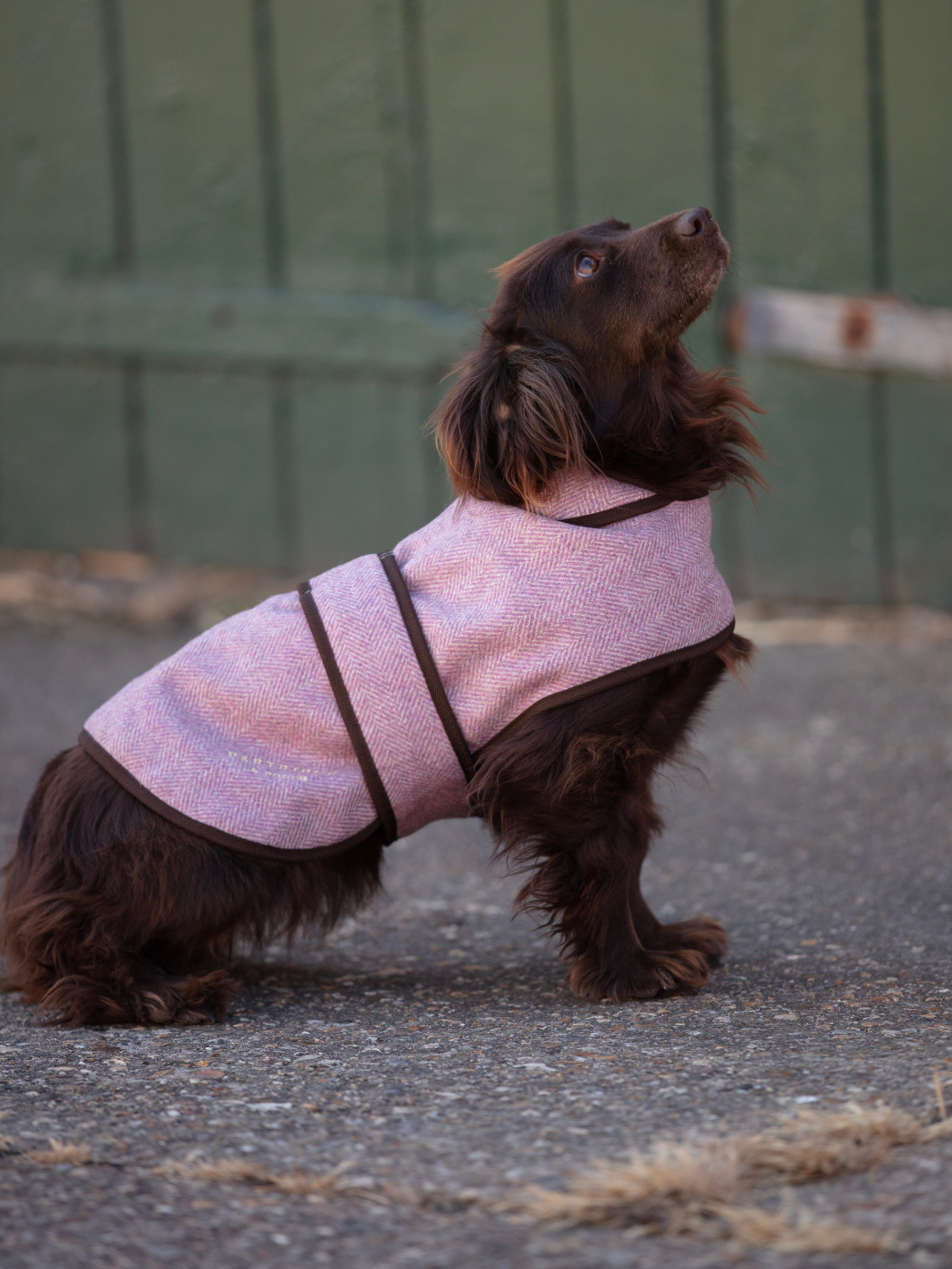 Pink Herringbone Tweed Dog Coat | Stylish dog coat with neck fastening, waist strap and collar ring buttonhole