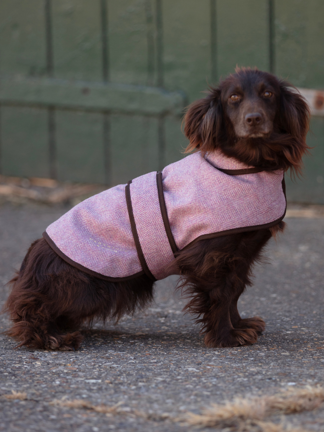 Pink Herringbone Tweed Dog Coat | Refined patterned dog jacket with black edge binding and tonal Partridge & Pooch embroidery