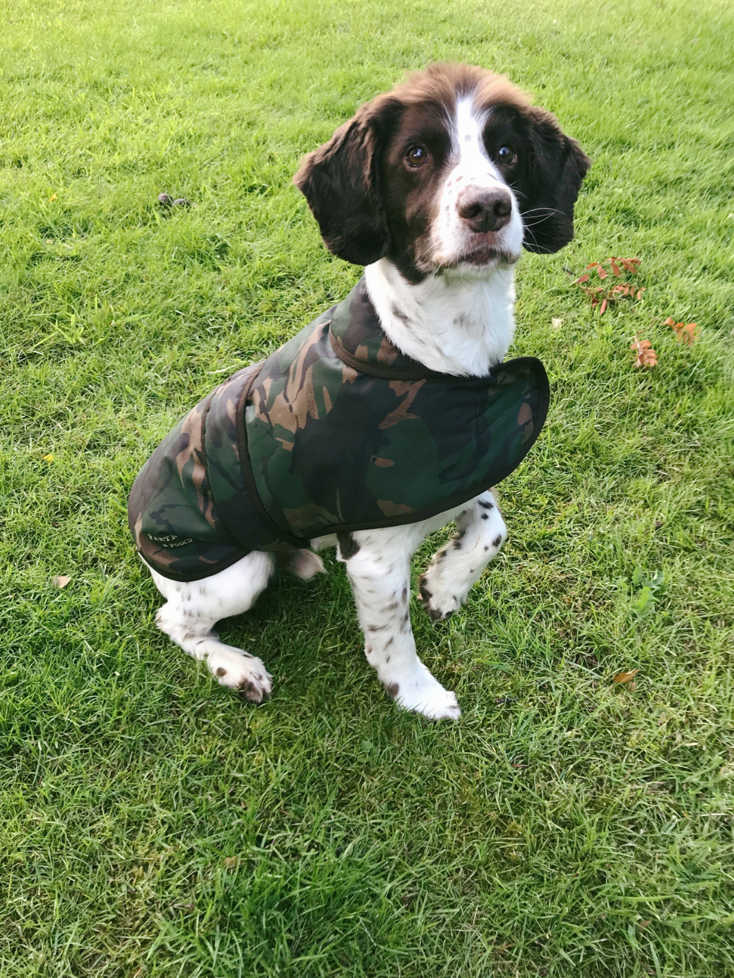 Camo Patterned Wax Dog Coat, crafted from high-quality wax for warmth and protection in all weather conditions. Stylish and functional for your furry friend.