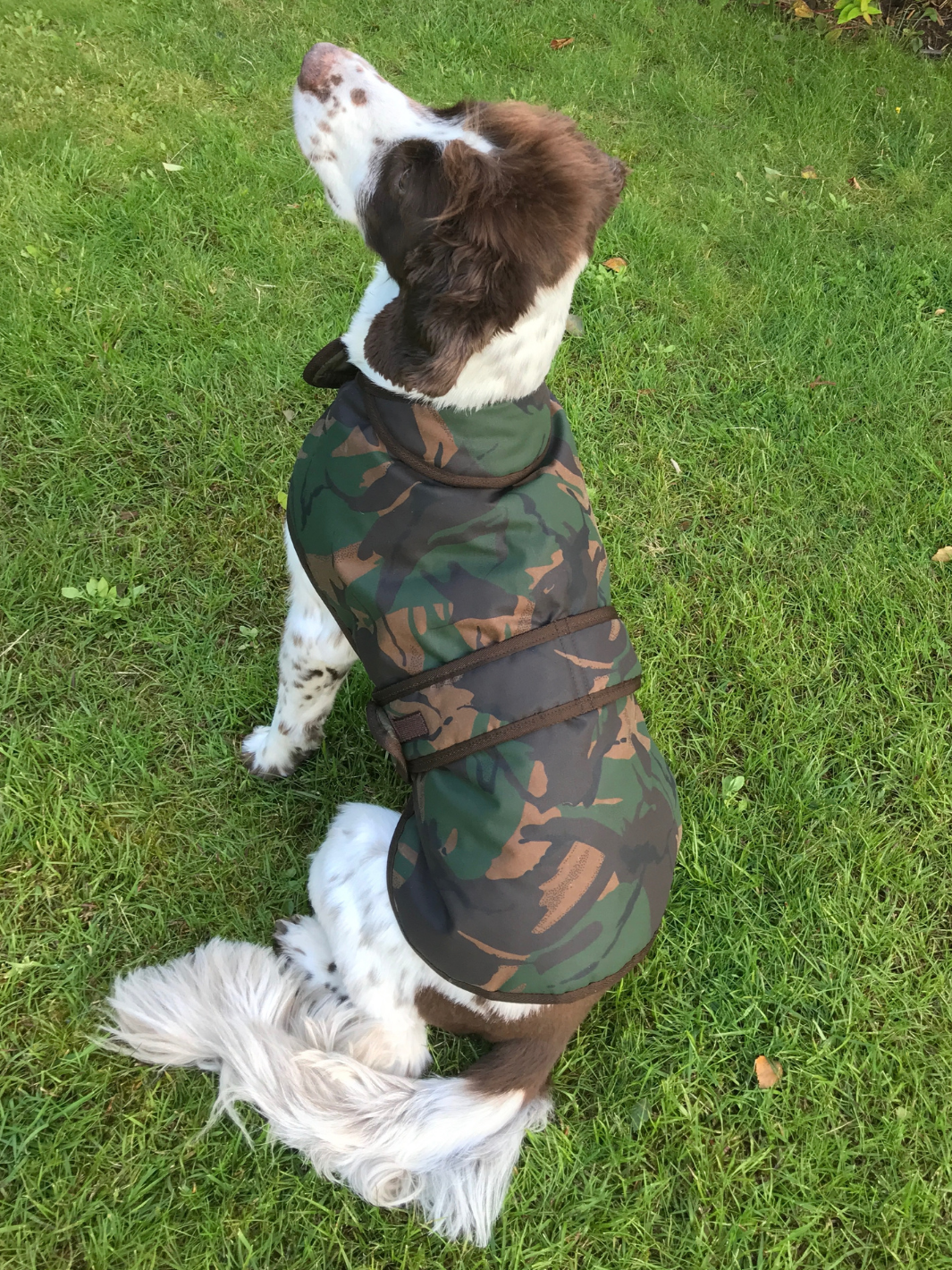 Camo Patterned Wax Dog Coat, crafted from high-quality wax for warmth and protection in all weather conditions. Stylish and functional for your furry friend.