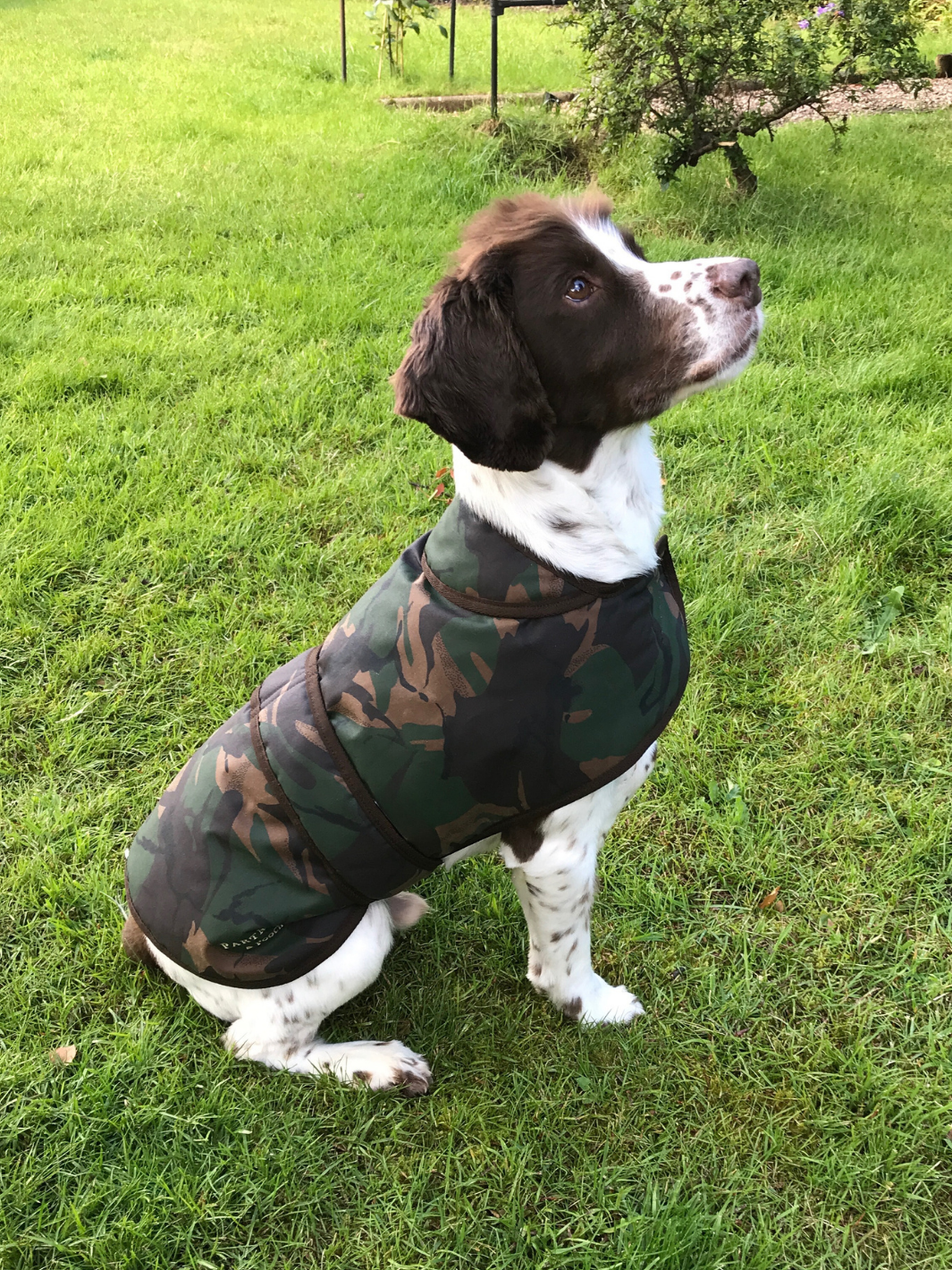 Camo Patterned Wax Dog Coat, crafted from high-quality wax for warmth and protection in all weather conditions. Stylish and functional for your furry friend.