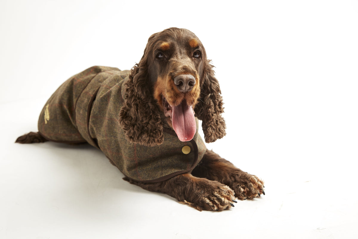Dog Coat - Waxed Tweed - John Partridge & Co