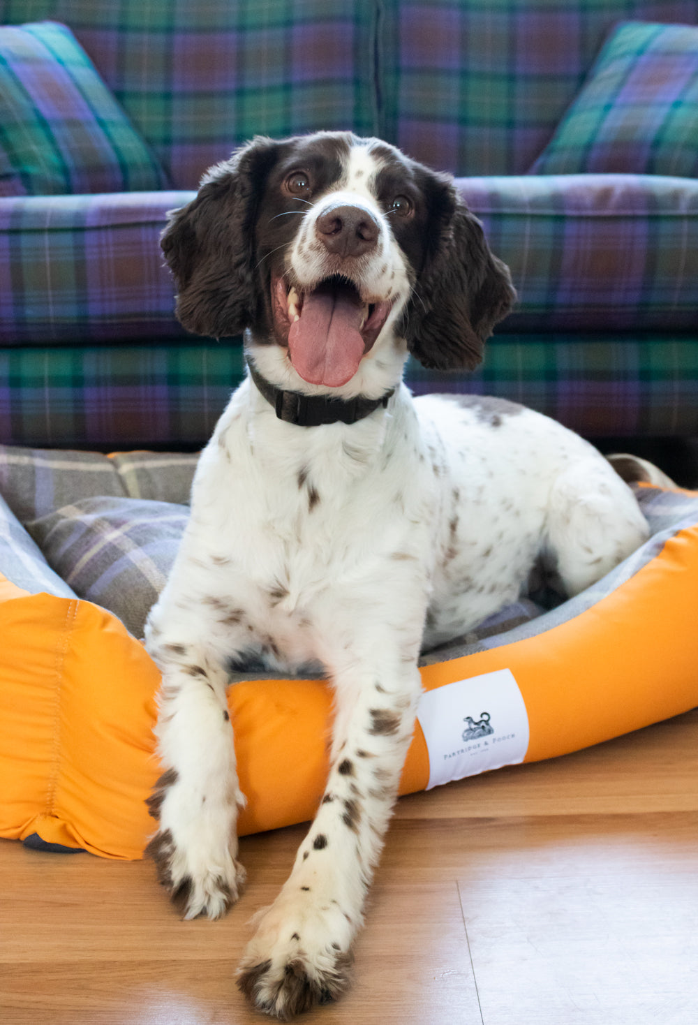 Amherst 2 in 1 Dog bed - Butterscotch Yellow with Blue Check - John Partridge & Co