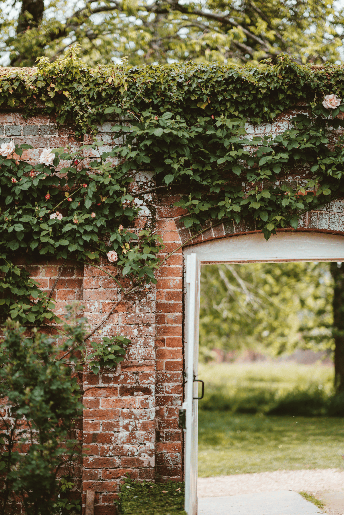 Garden inspiration for a nation of green fingers...
