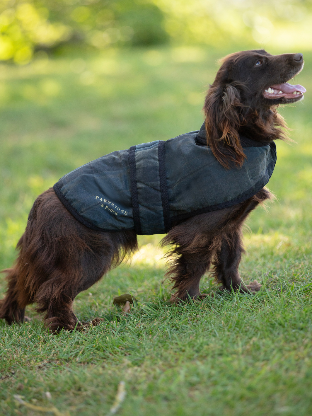Dog Coat - Blue Dundee Check | Durable blue check dog jacket with quilted black lining for warmth and comfort
