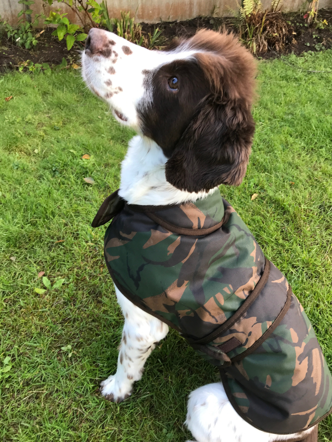 Camo Patterned Wax Dog Coat, crafted from high-quality wax for warmth and protection in all weather conditions. Stylish and functional for your furry friend.