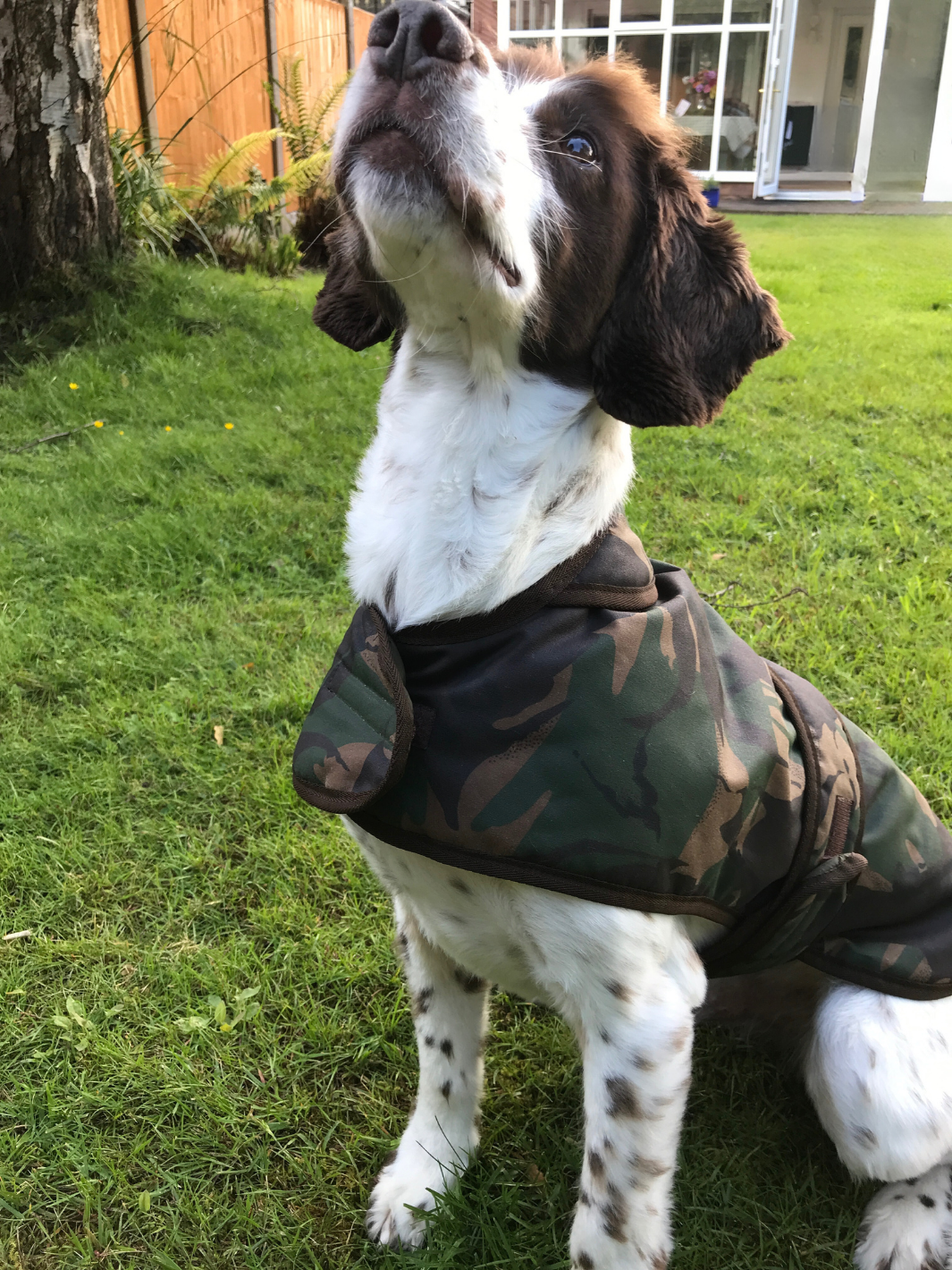Camo Patterned Wax Dog Coat, crafted from high-quality wax for warmth and protection in all weather conditions. Stylish and functional for your furry friend.
