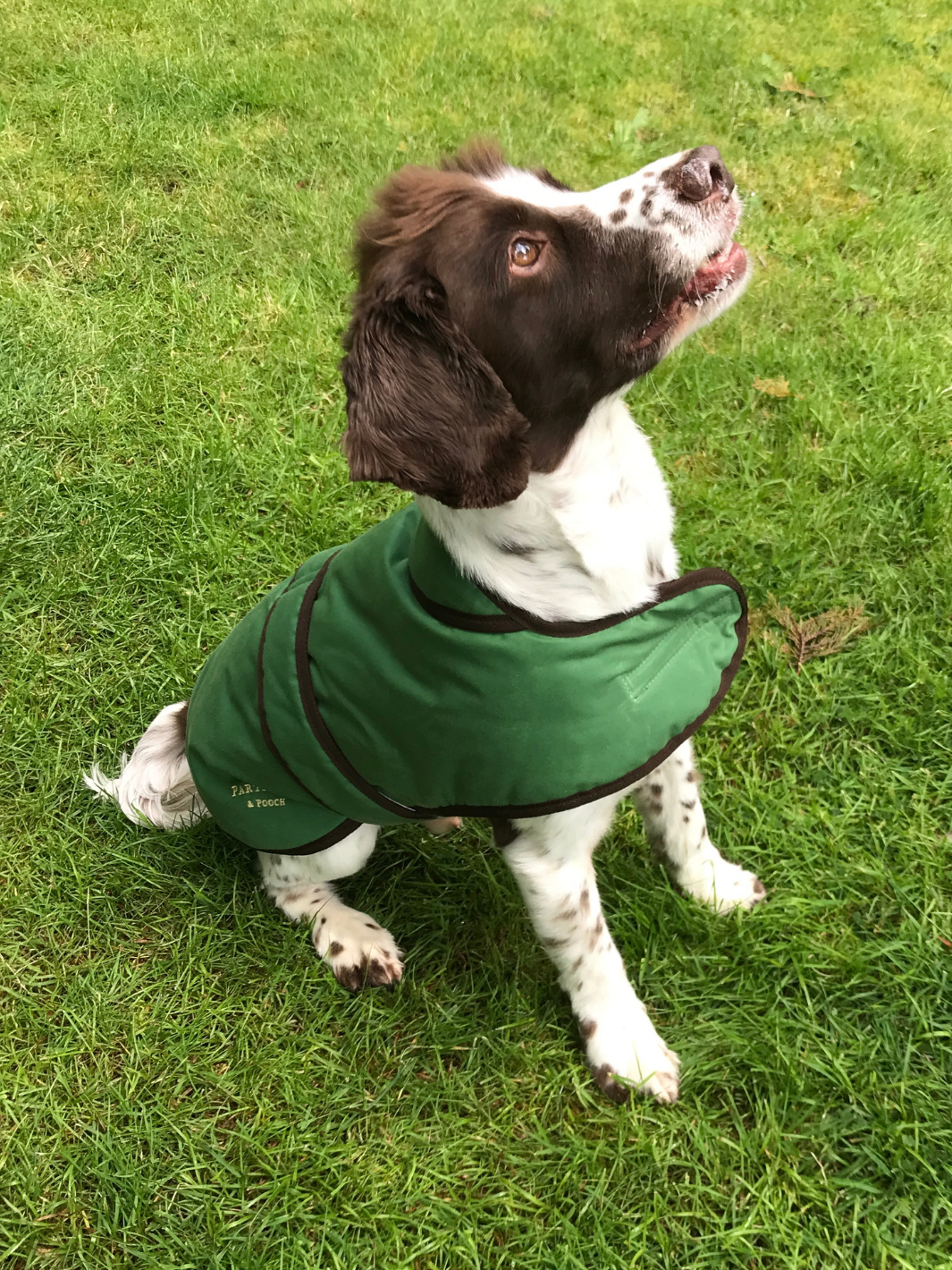 Grass Green Dry Wax Dog Coat, crafted from high-quality dry wax for warmth and protection in all weather conditions. Stylish and functional for your furry friend.