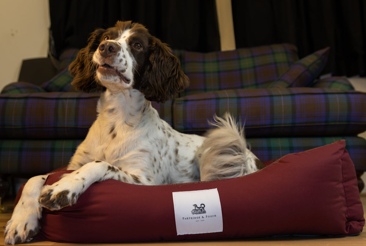 Amherst 2 in 1 Dog bed - Mulberry Red with Square Check - John Partridge & Co