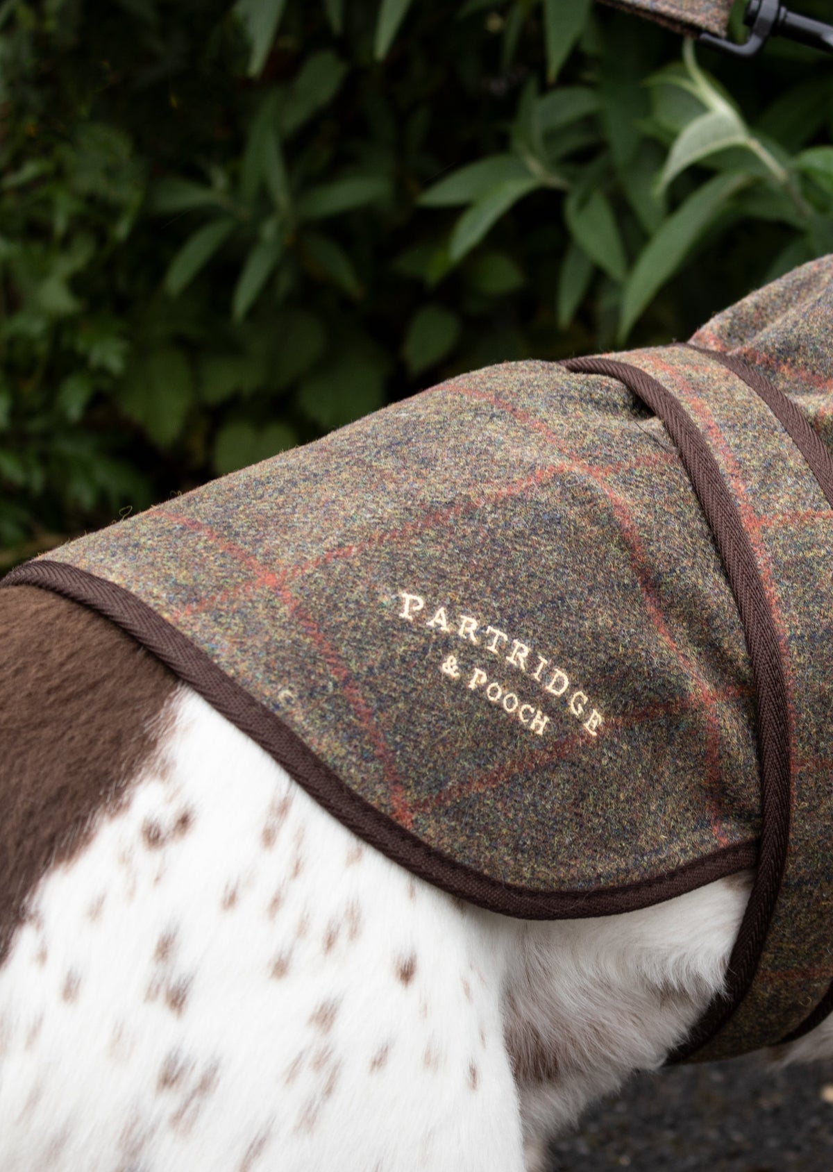 Dog Coat - Brown Check Waxed Tweed - John Partridge & Co