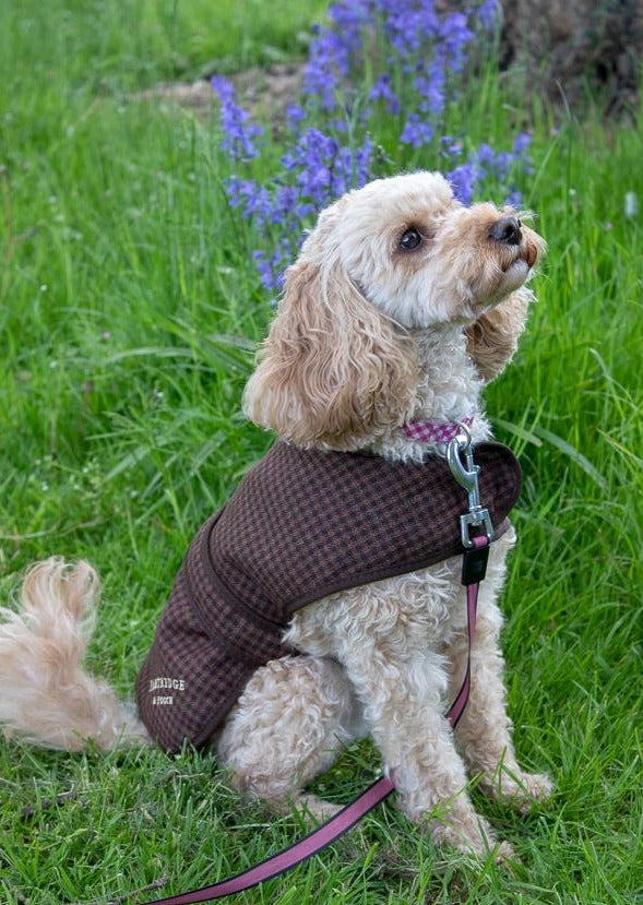 Dog Coat - Brown Gingham - John Partridge & Co