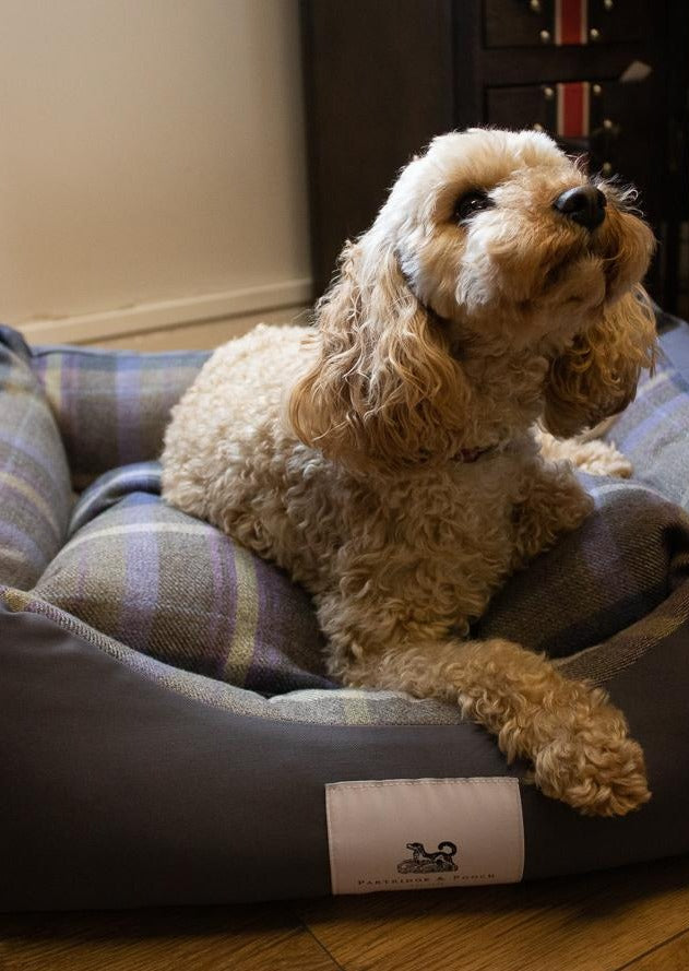 Amherst 2 in 1 Dog bed - Anthracite Grey with Blue Tweed Check - John Partridge & Co