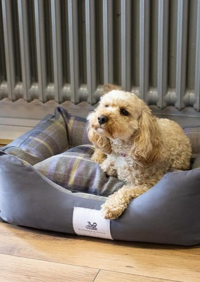 Amherst 2 in 1 Dog bed - Anthracite Grey with Blue Tweed Check - John Partridge & Co