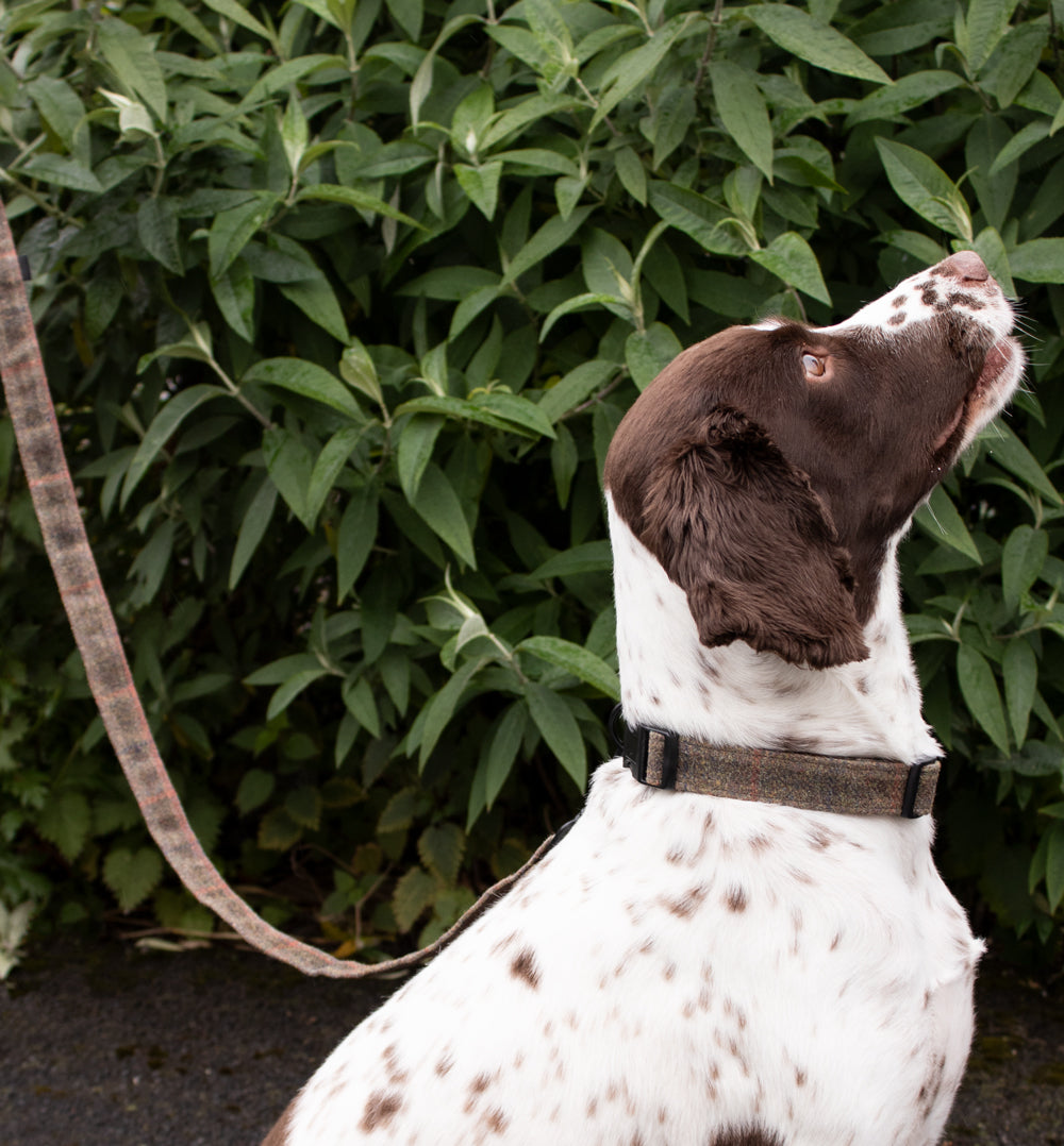 Dog Lead - Brown Waxed Tweed - John Partridge & Co